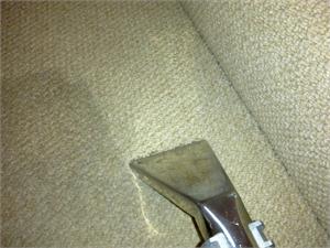 spot and stain treatment